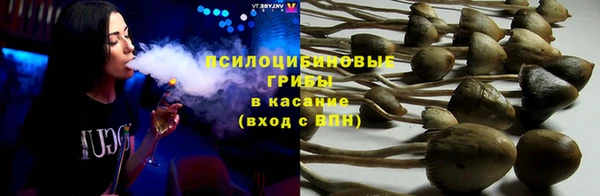 молекула духа Абинск