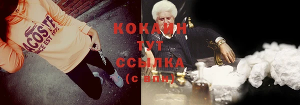 молекула духа Алексеевка