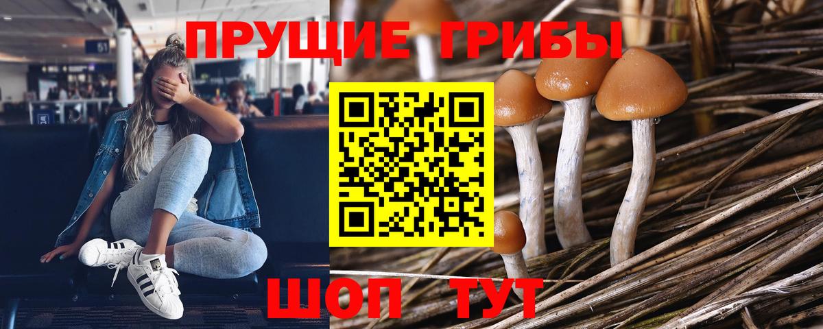 Галлюциногенные грибы GOLDEN TEACHER Сочи
