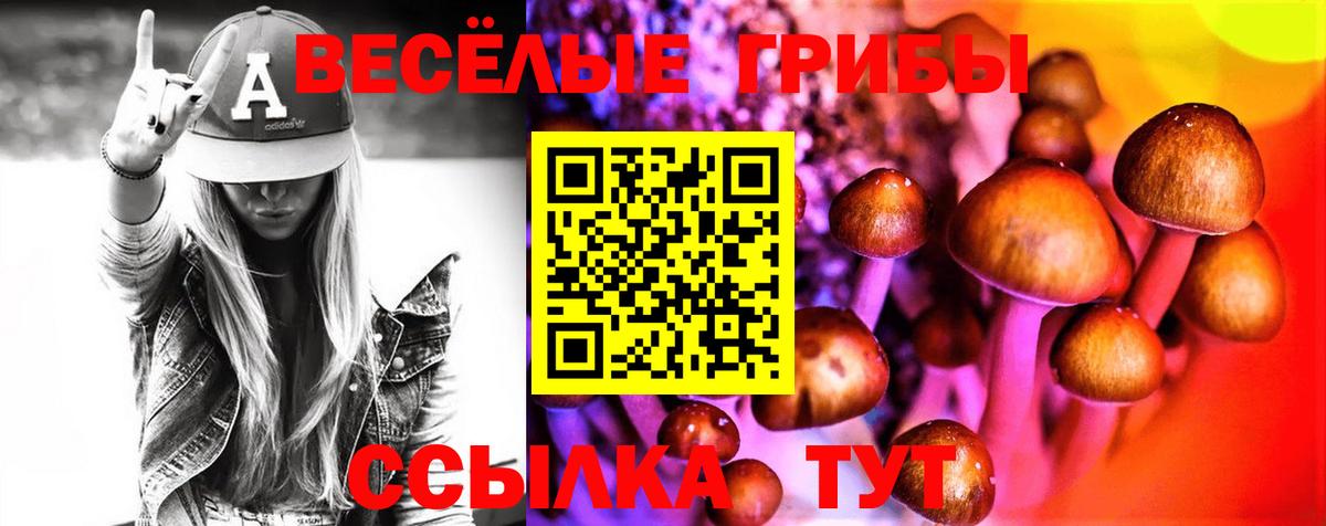 Галлюциногенные грибы Psilocybine cubensis  Вход с VPN  купить наркоту  Сочи 
