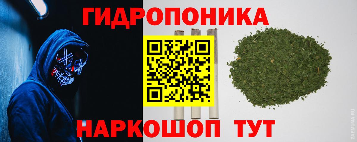 Канабис семена  Вход с VPN  Сочи  Бошки марихуана планчик 
